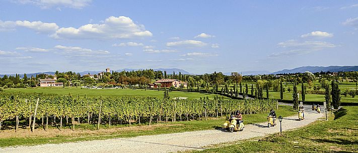 Collio in Vespa